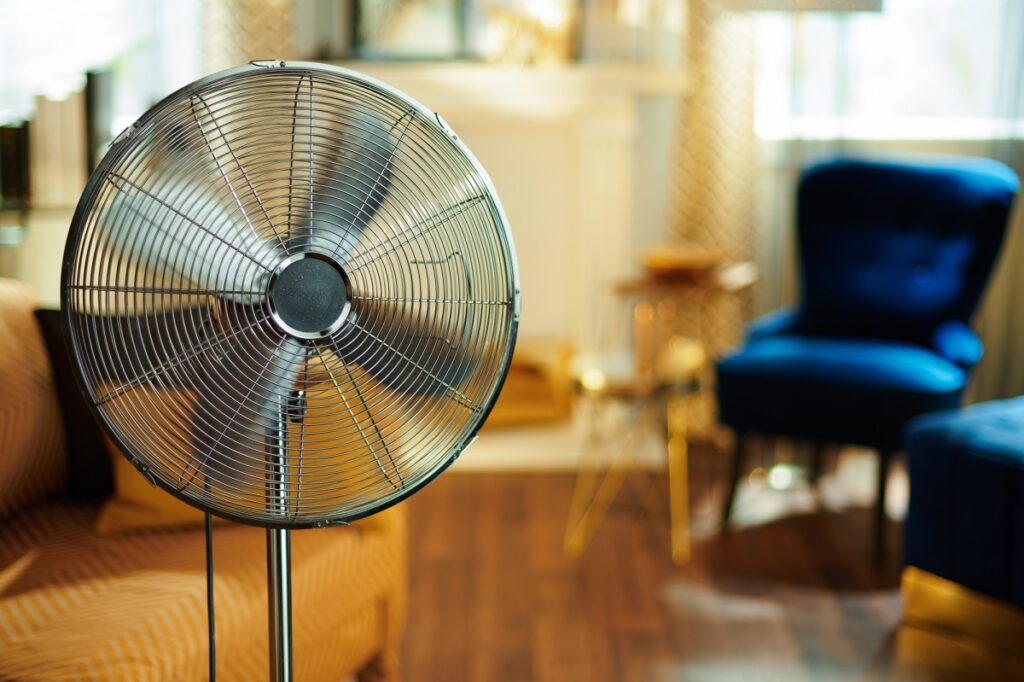fan or light uses more electricity