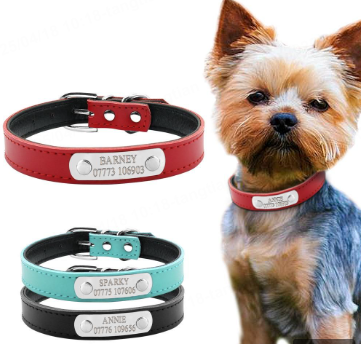 pet collar
