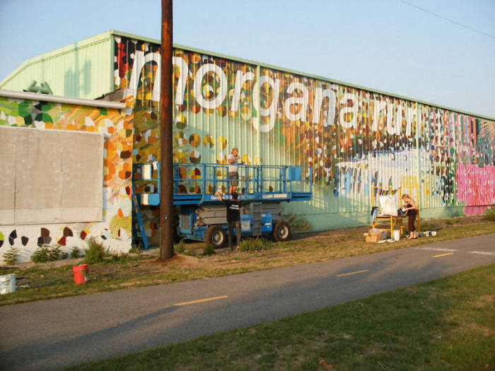 grauers paint and decorating