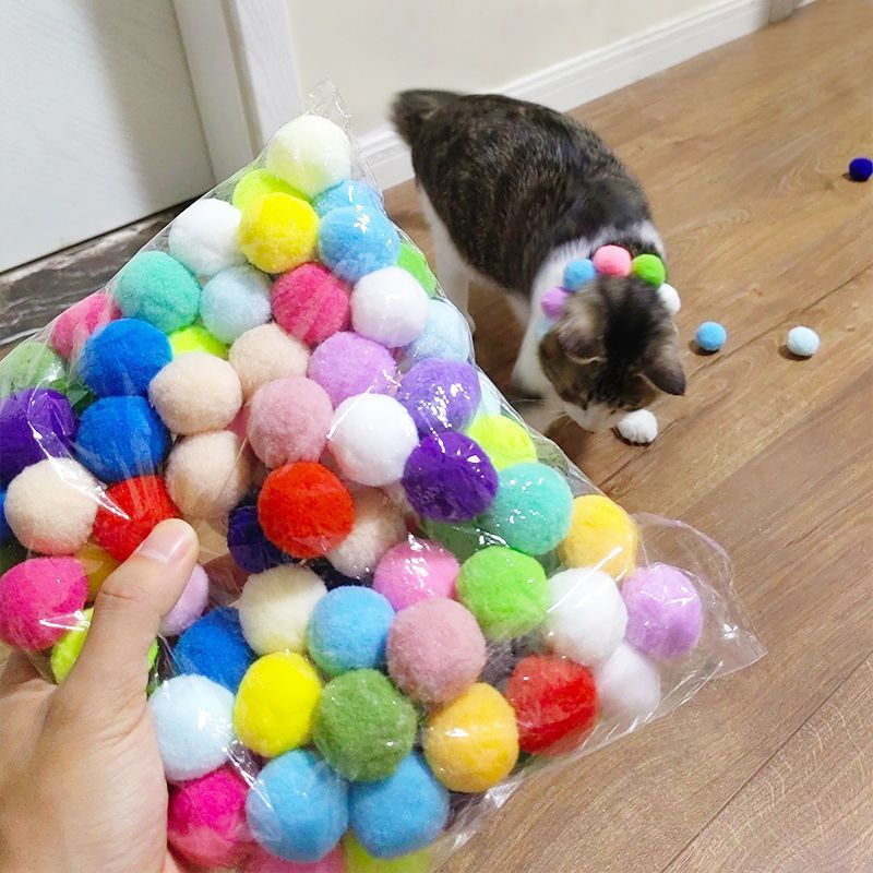 interactive pet toy