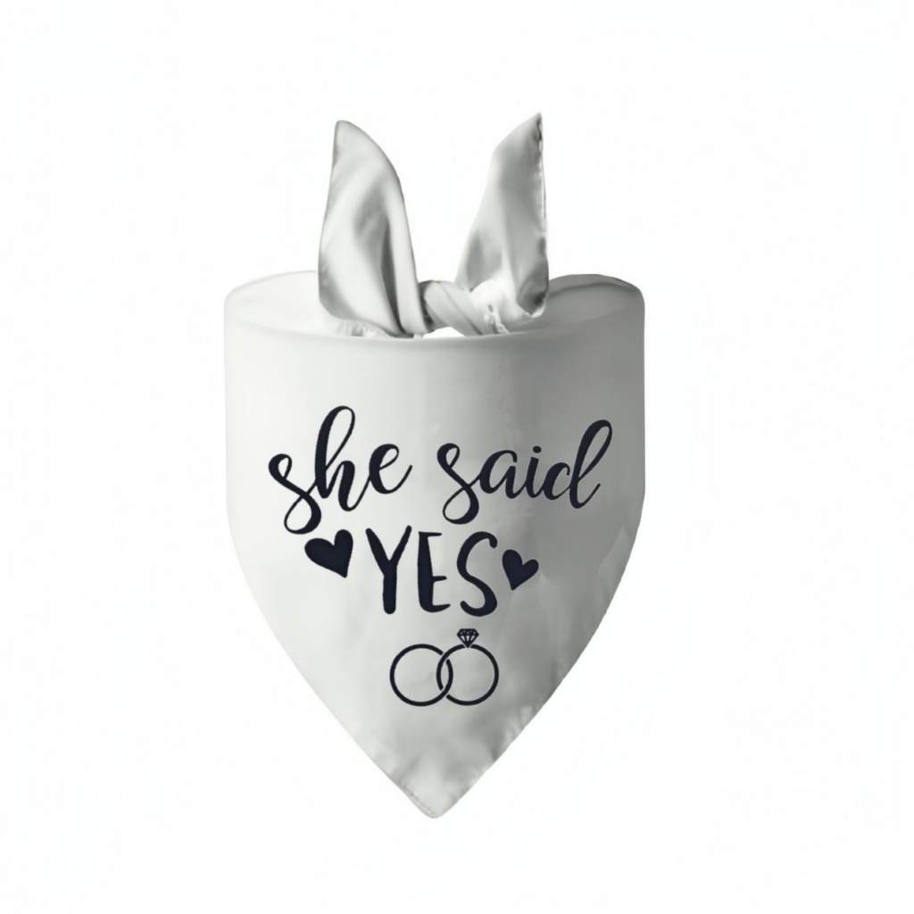 sublimation pet clothes