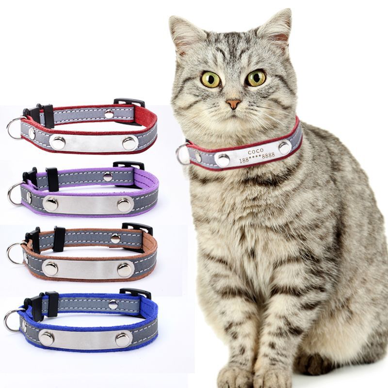 safe pet collar