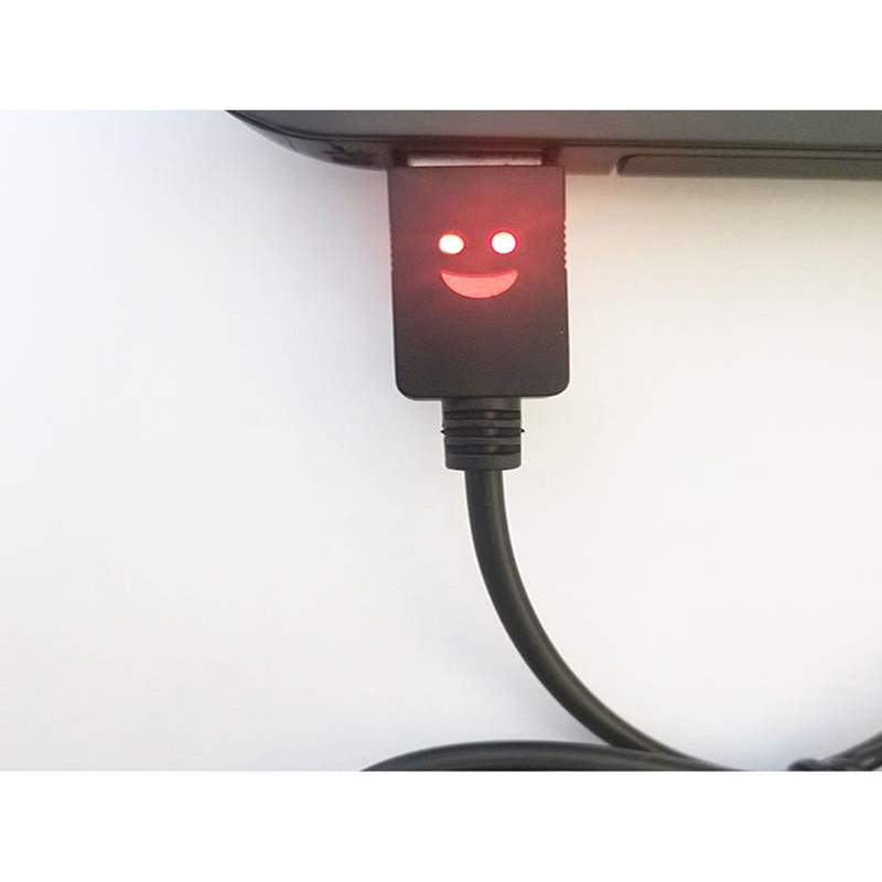 Europe electric vehicle charging cable purchase