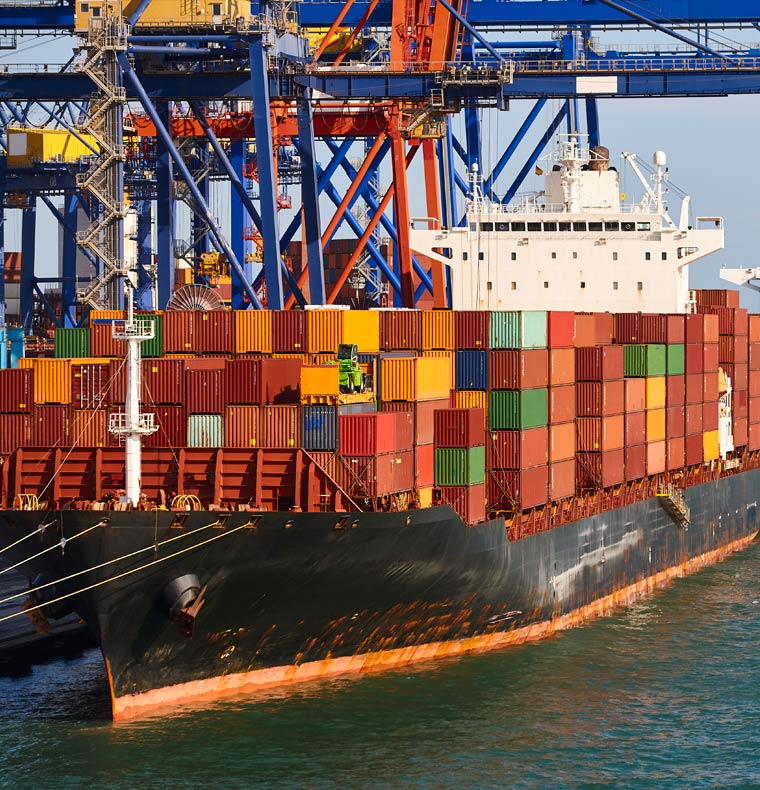 drop shipping reddit