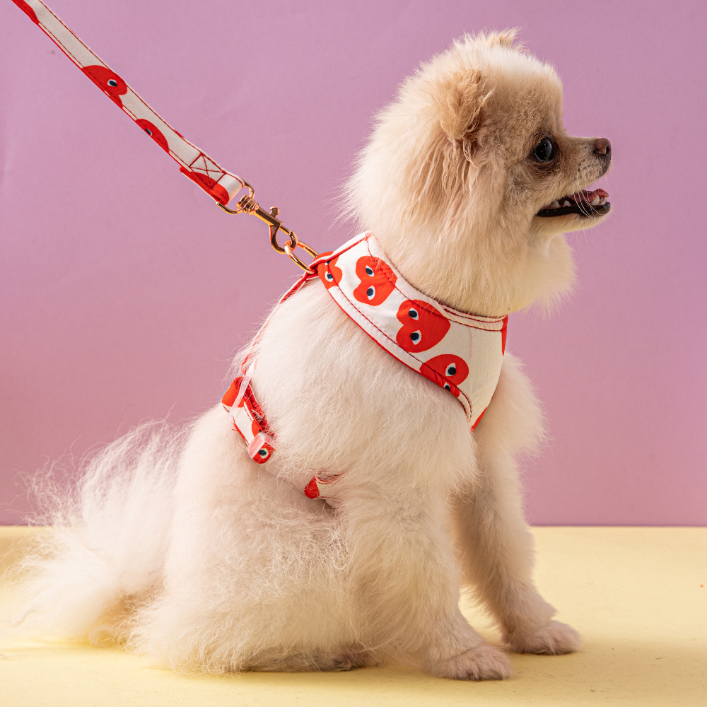 designer pet clothes