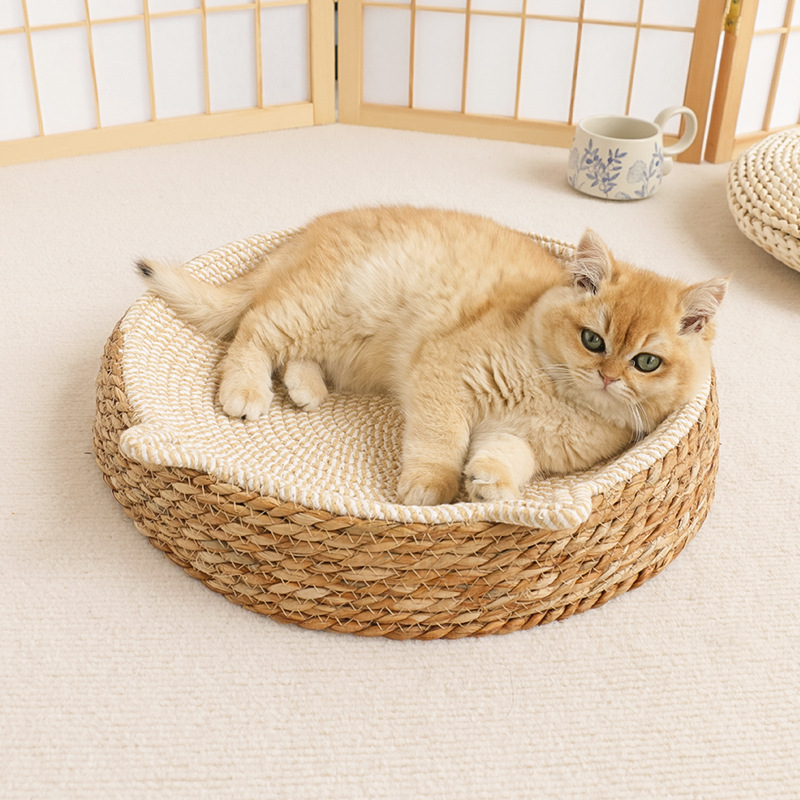 France pet bed purchase