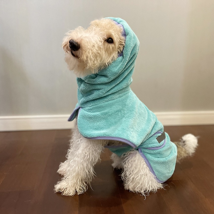 United States seasonal pet clothes purchase