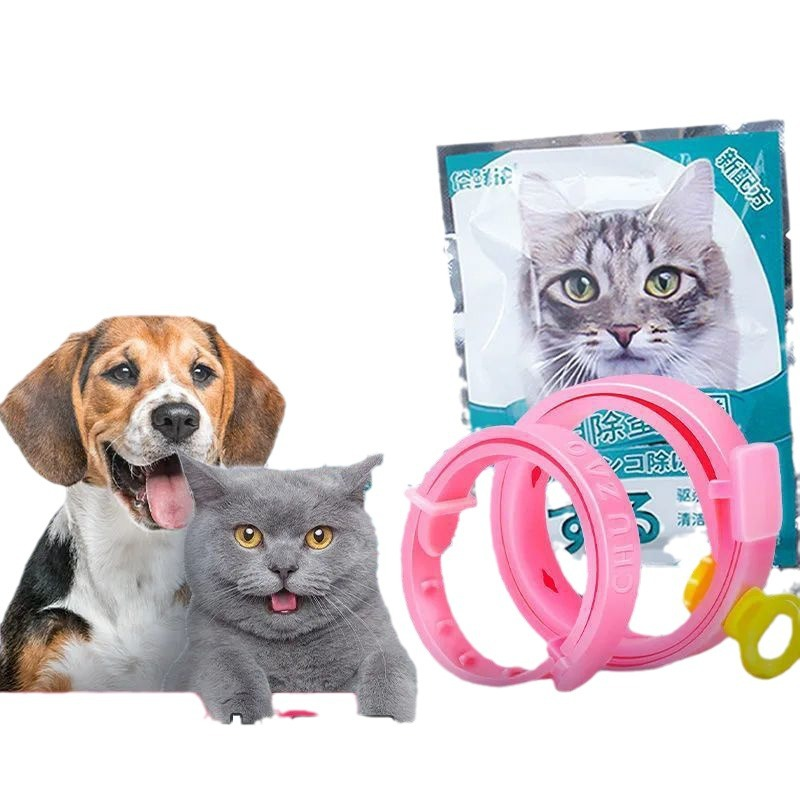 United States pet collar B2B sourcing