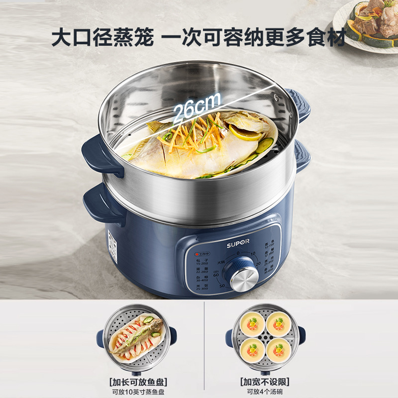 rice cooker and steamer