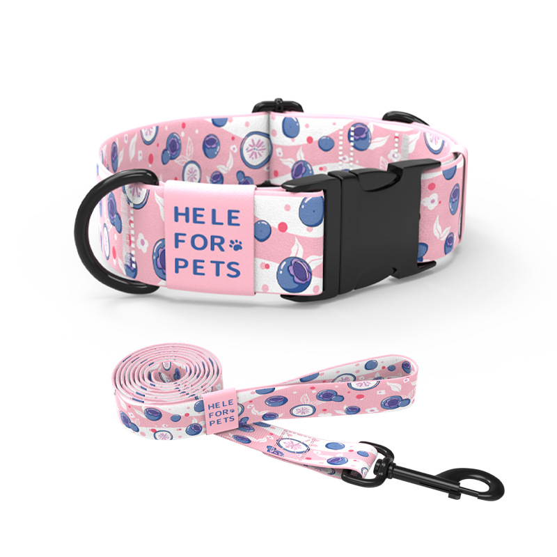 United States blueberry pet collar dropshipping
