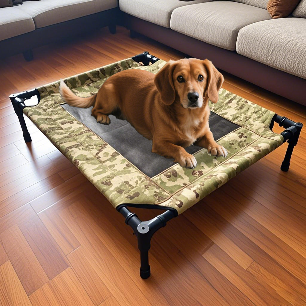 Top10 United States elevated pet bed purchase