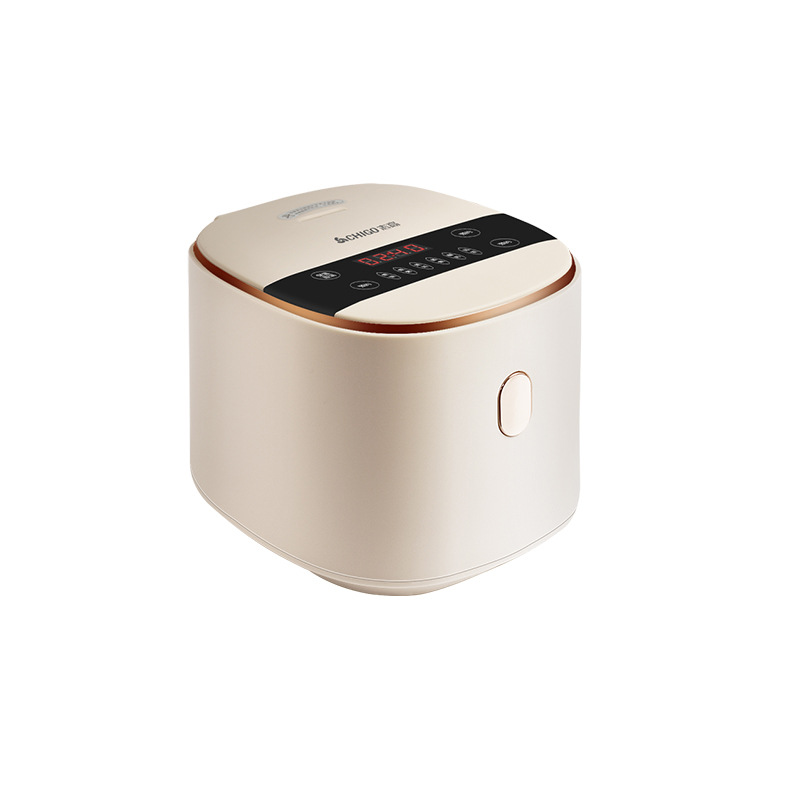 slow cook in rice cooker