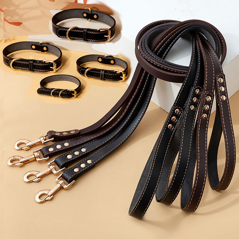 aspen pet leash