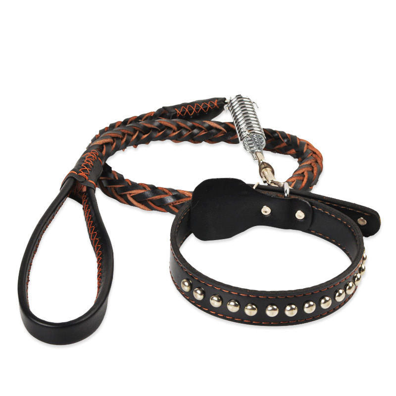 aspen pet leash