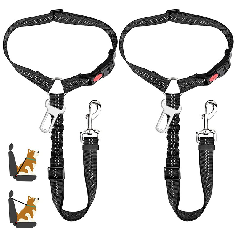 atlas pet leash