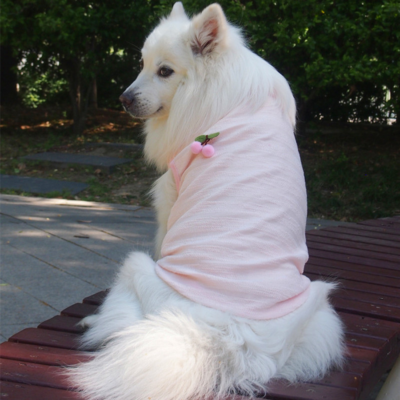 TOP5 Bunny Rabbit Pet Clothes in Canada