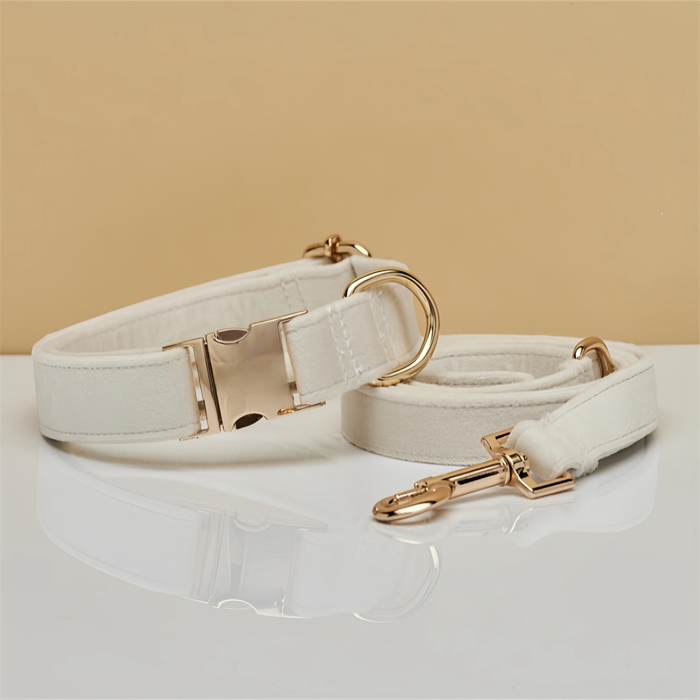 Top3 France coach pet collar purchase