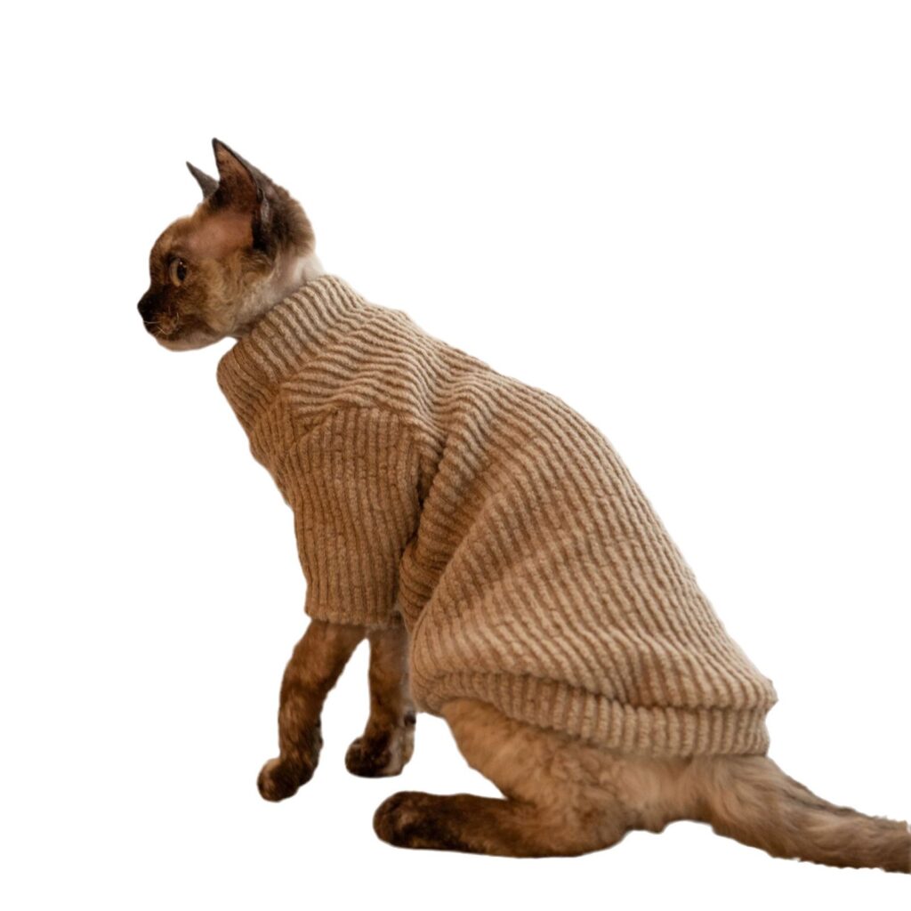 Top3 Canada dolly parton pet clothes dropshipping