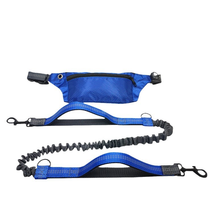 Top3 France bike pet leash purchase