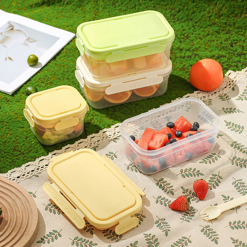 TOP10 Lunch Boxes with Ice Packs in France