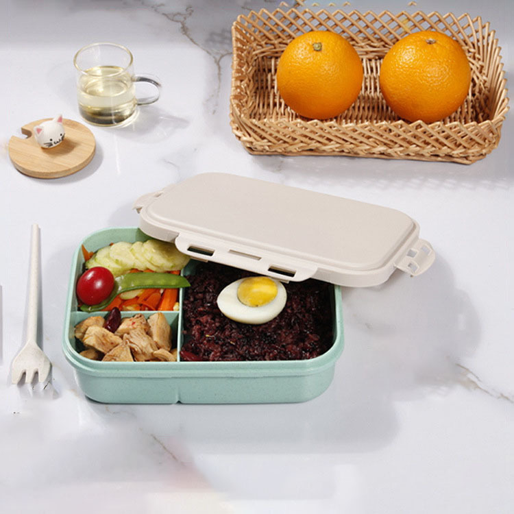 TOP10 Six Pack Lunch Boxes in Canada