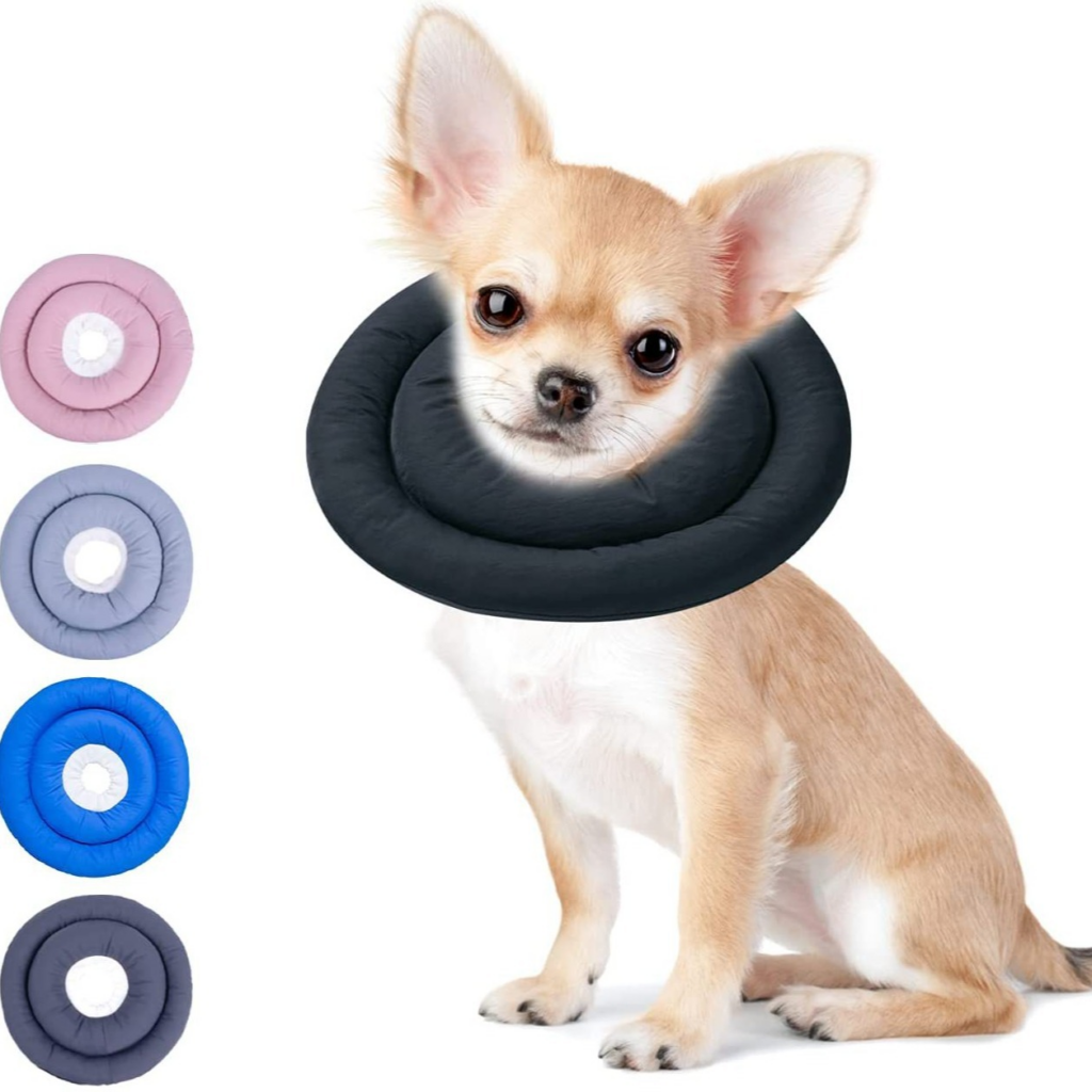 TOP5 Pet Collars in Canada