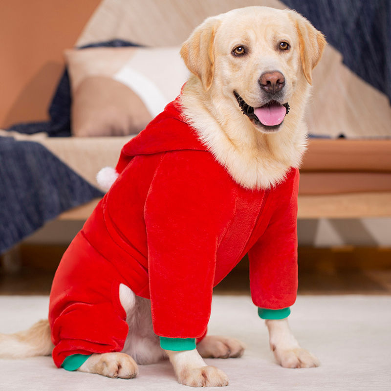 TOP3 Pet Clothes for Large Breed Dogs in Canada