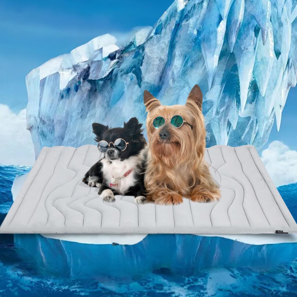 Netherlands top3 cooling pet bed purchase