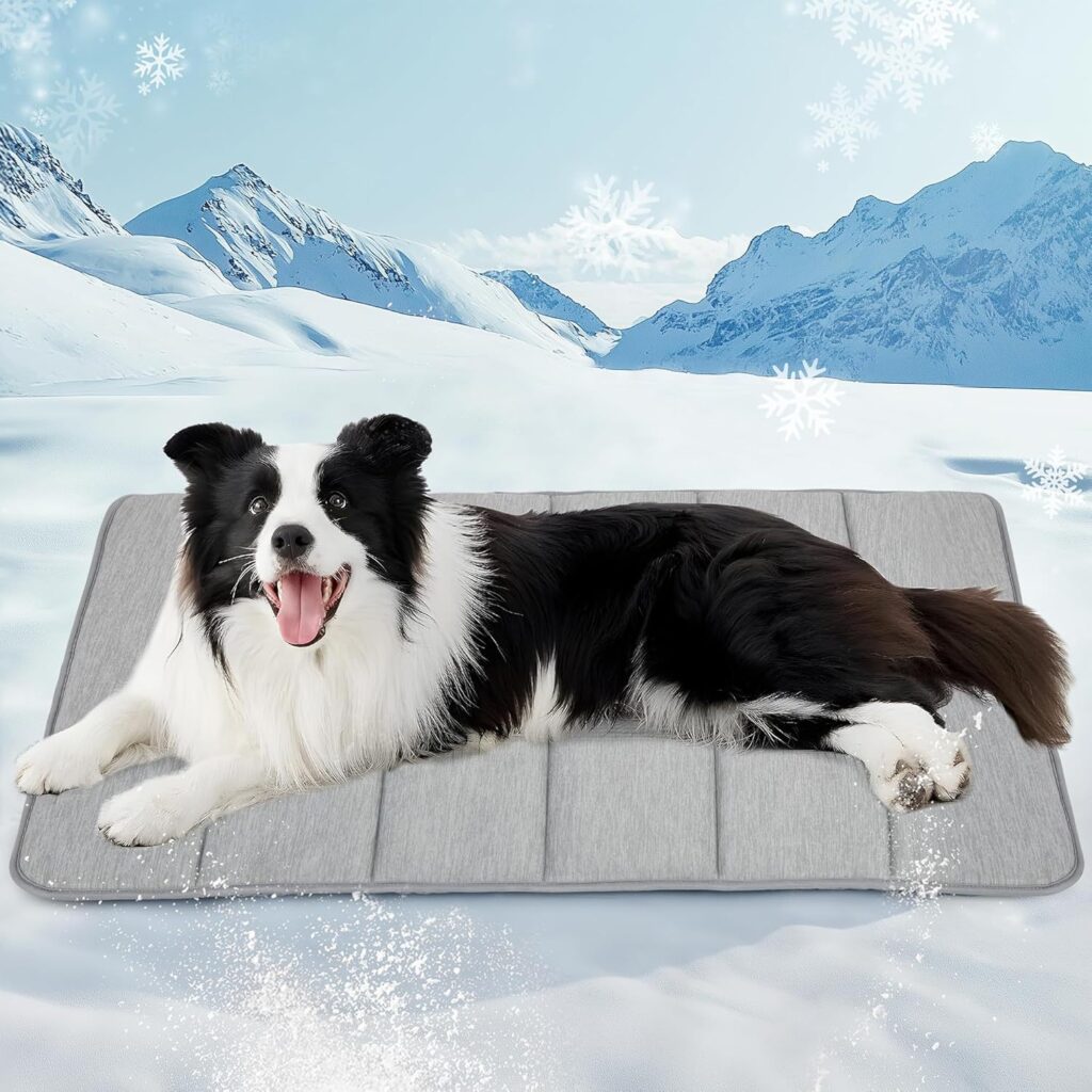 Netherlands top3 cooling pet bed purchase