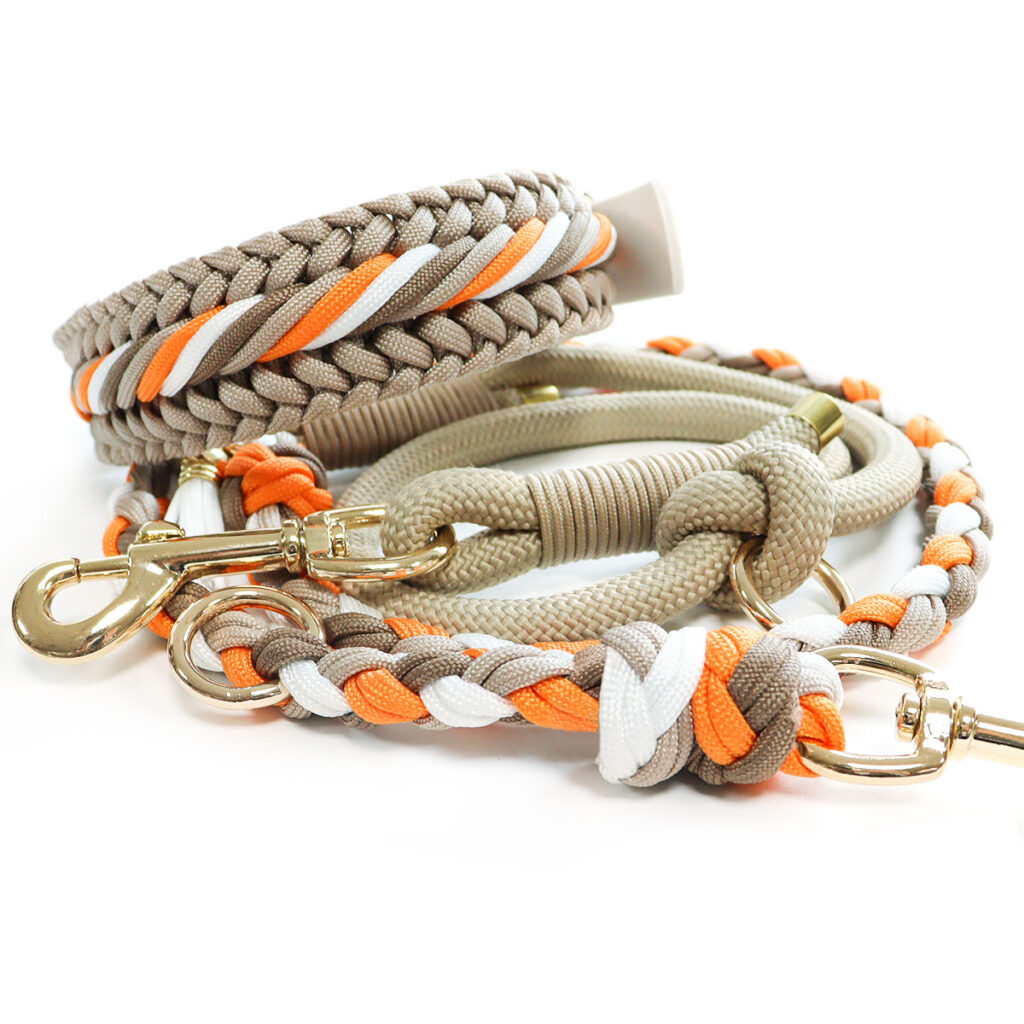 Netherlands top3 braided pet leash B2B sourcing