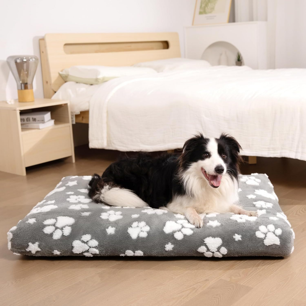 Top 15 Pet Bed Slipcovers In France