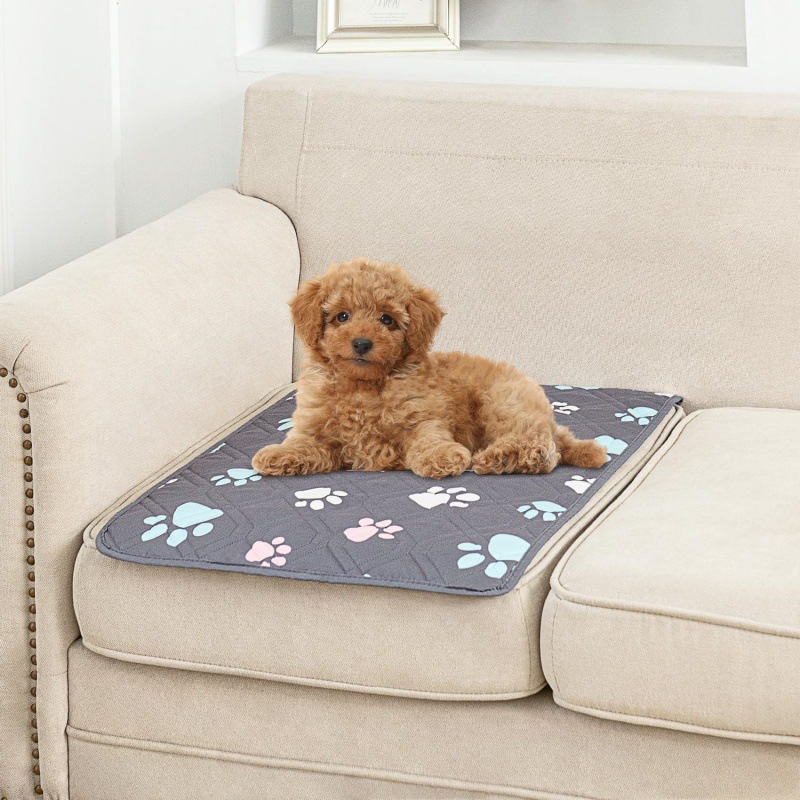 Top 15 Pet Bed Slipcovers In France