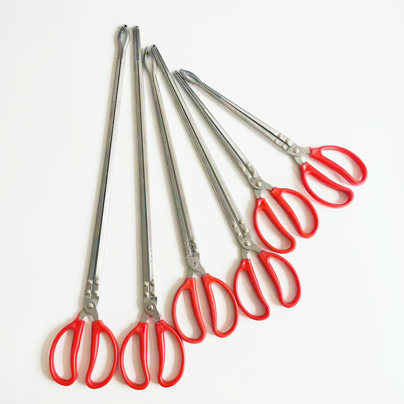 TOP10 Lab Kitchenware in Italy