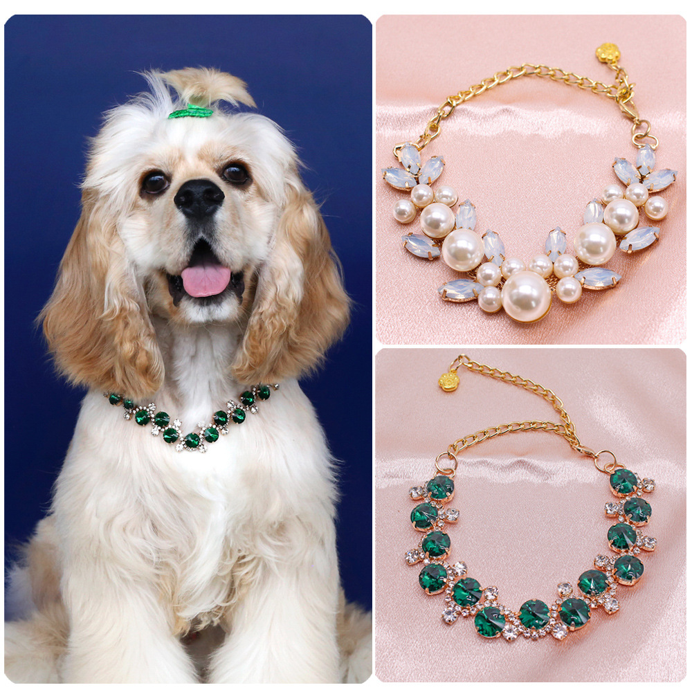Top 5 Dogs'Pearl Necklaces In Britain