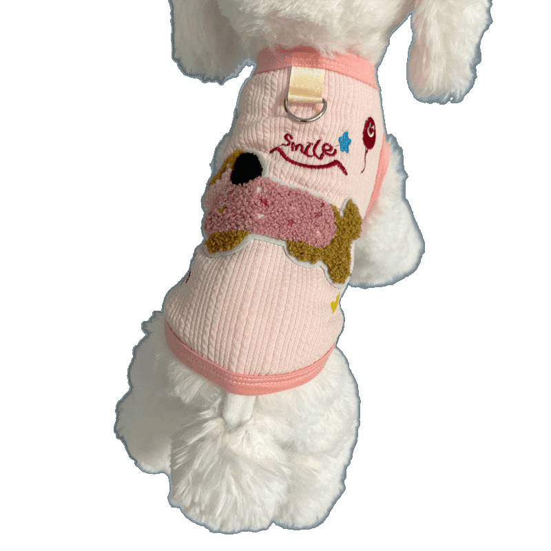 Top 5 Custom Pet Clothes In France