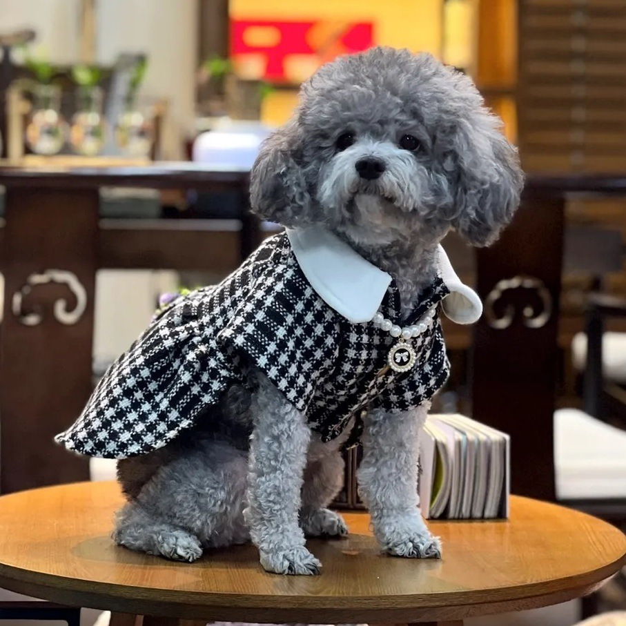 Top 5 Custom Pet Clothes In France