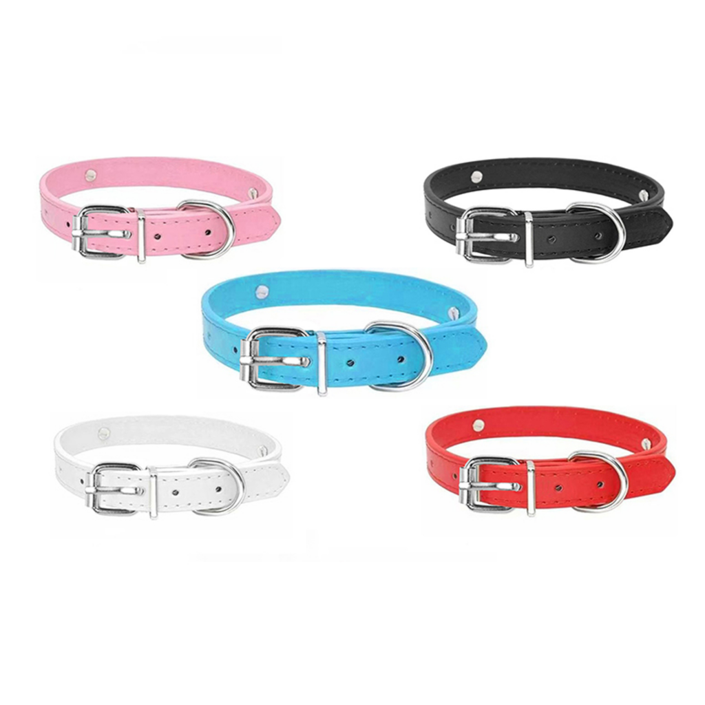 Top 10 chain pet leash in Canada