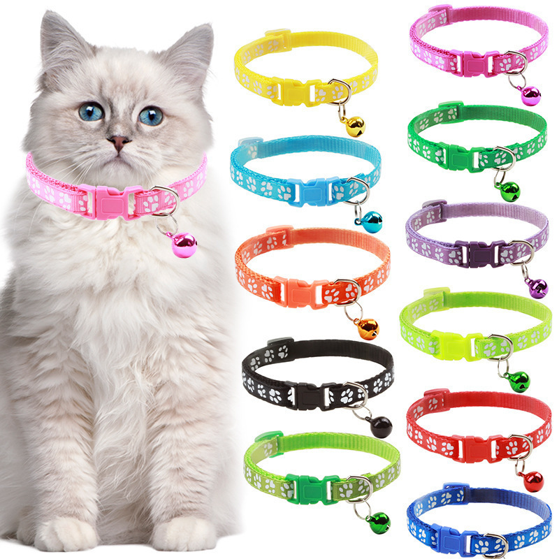Top 10 chain pet leash in Canada