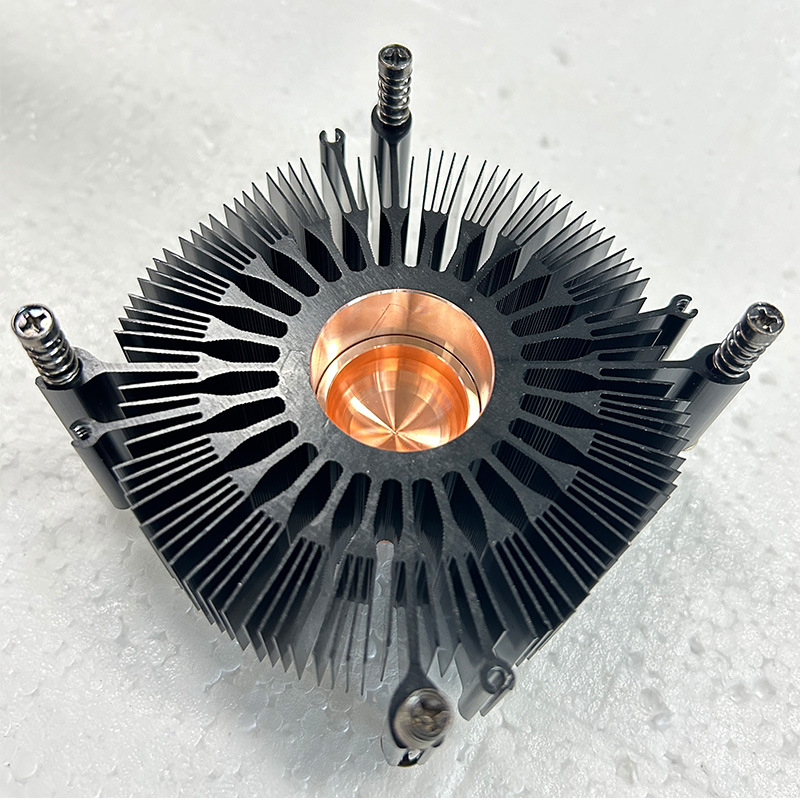  A Top 10 Comprehensive Guide in France