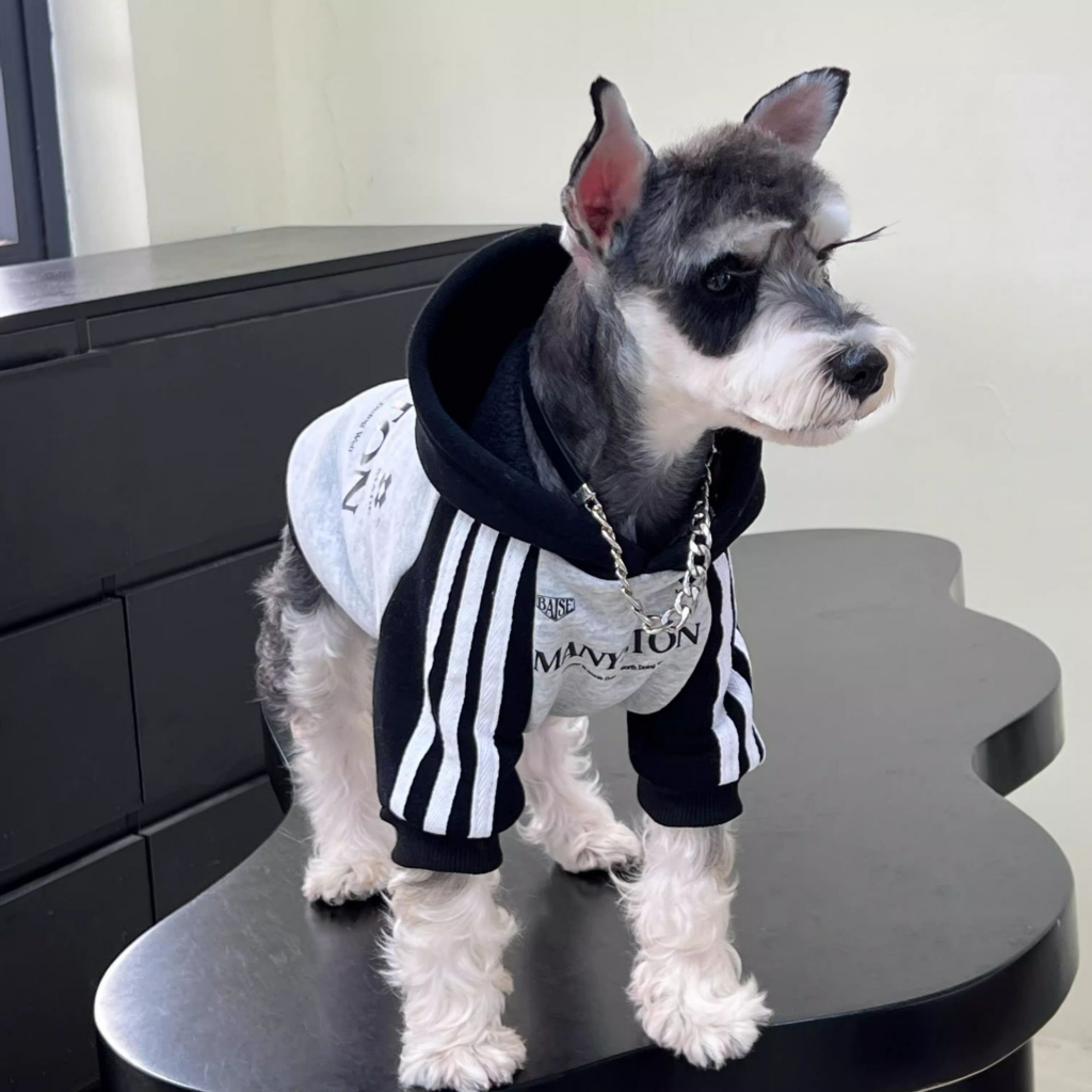 Top 10 pet clothes dog apparel in Canada
