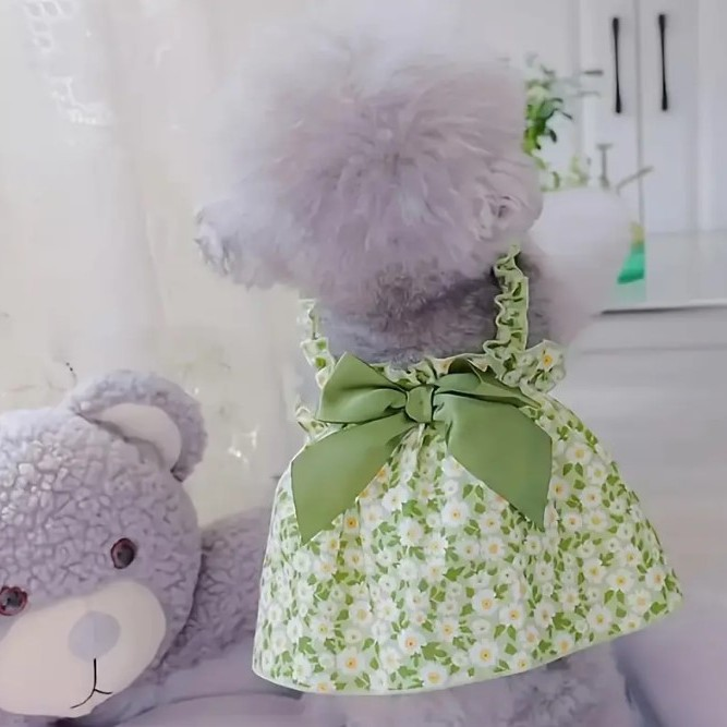 Top 15 Dog Pet Clothes In The United States