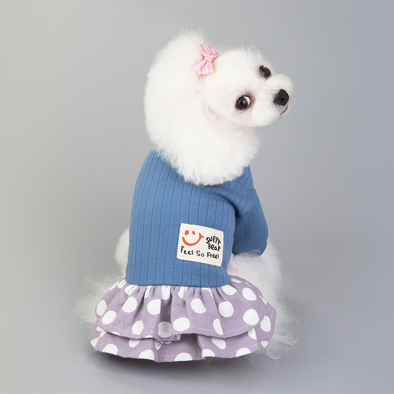 Top 15 Cute Pet Clothes In France