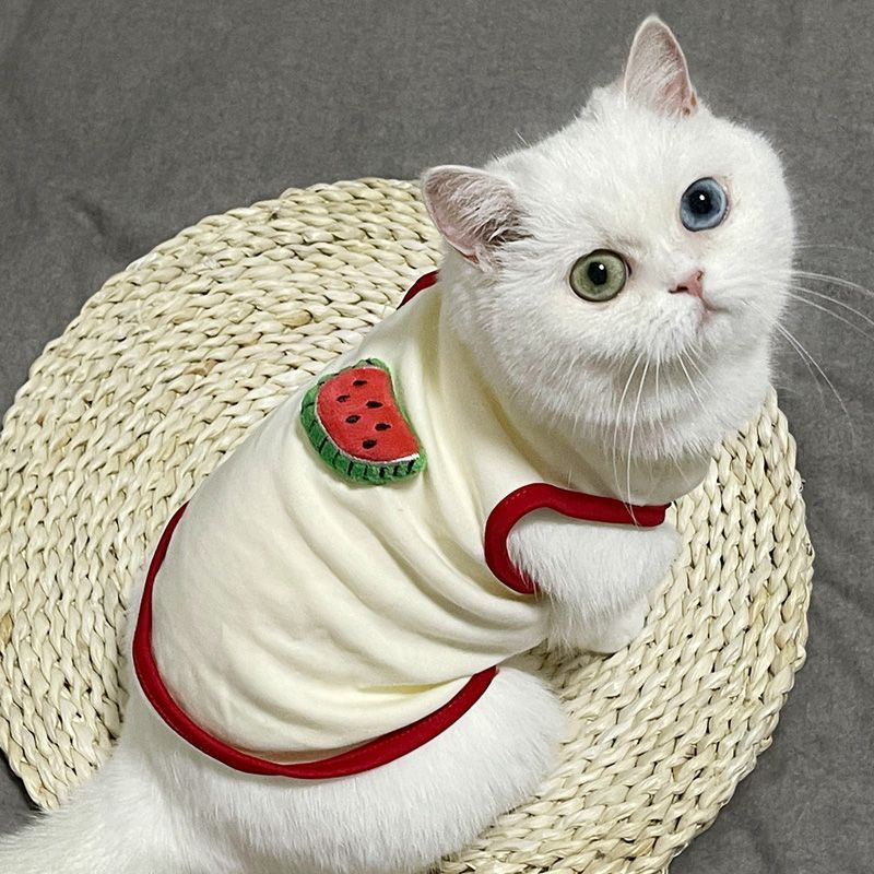 Top 5 Cat Pet Clothes In Netherlands