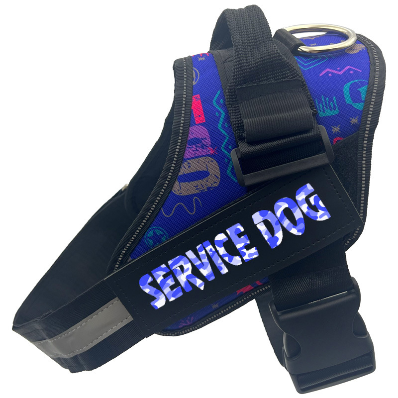 Top 10 chain pet leash wow in Canada