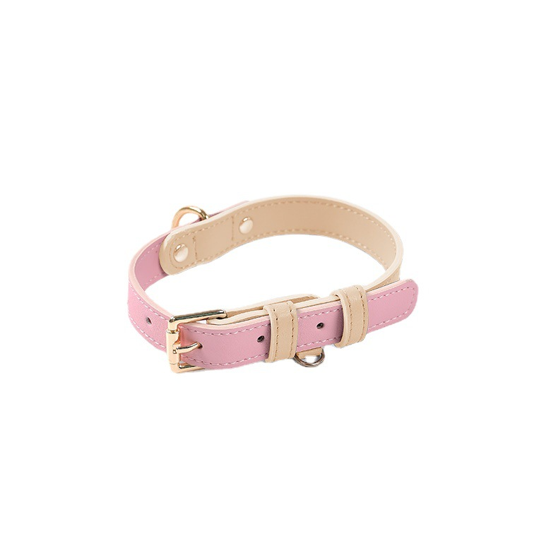 Top 10 coastal pet leash in  United States