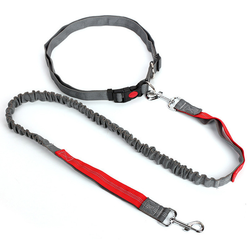 Top 10 coastal pet leash in  United States