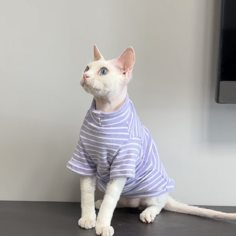 Top 10 design your own pet clothes in Switzerland