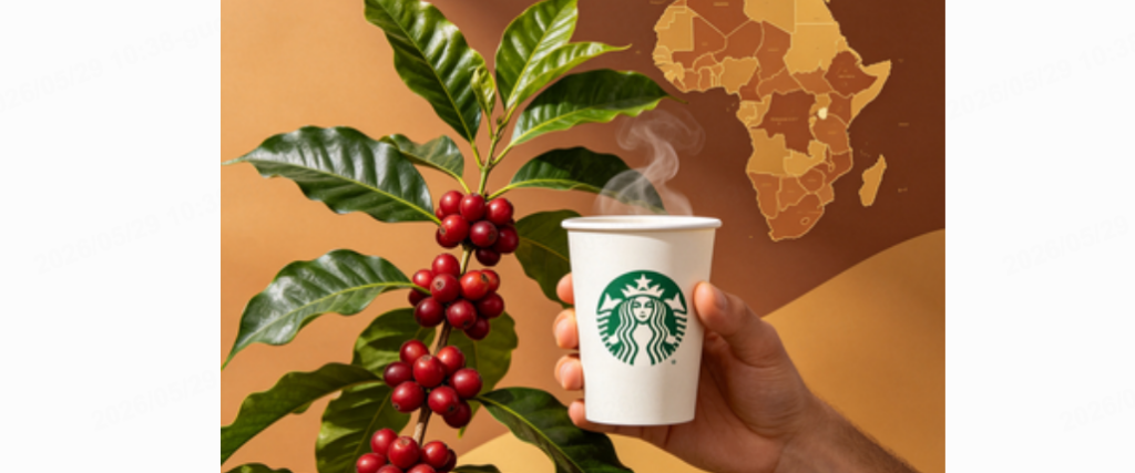 starbucks ethiopia coffee strategy 2024