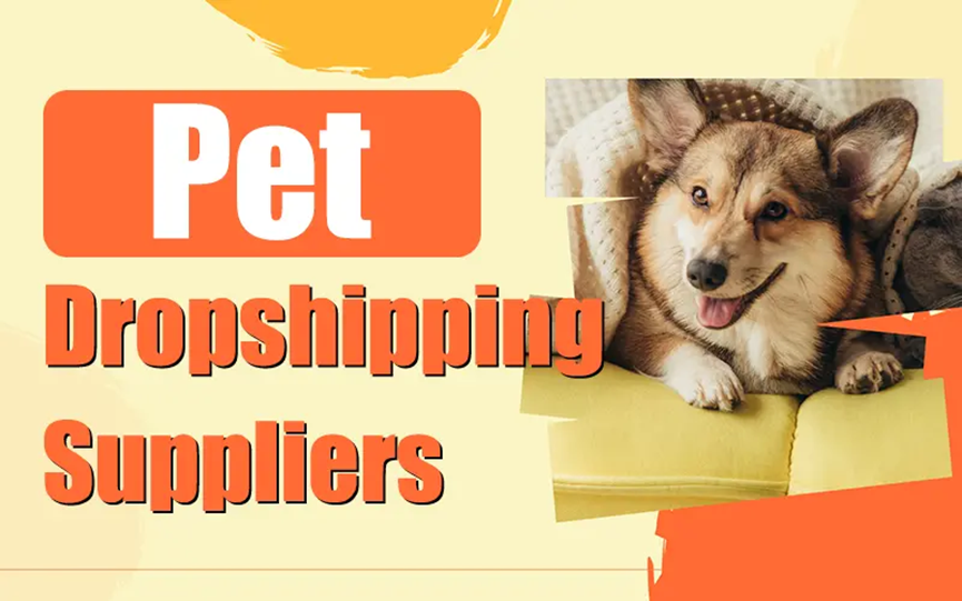 Top Pet Dropshipping Suppliers in 2026: An Expert, Hands On Review for Serious B2B Sellers