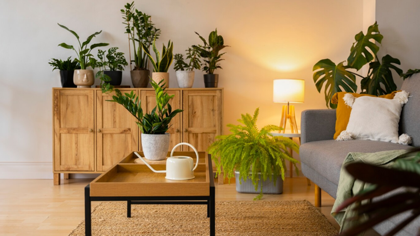 How To Choose The Best Home Decor Dropshipping Suppliers In 2026